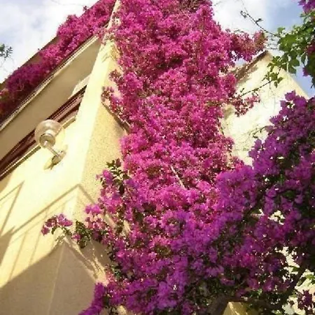 Appartement Garbin Ventus Makrsk Makarska
